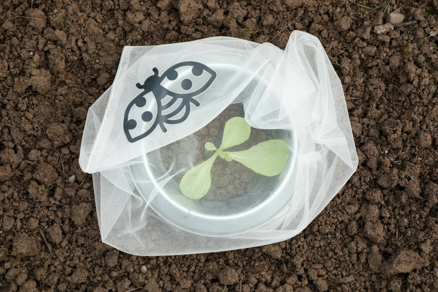 Insektenschutz-Tasche "Gemüse", 6 Stück 2 Insektenschutz-Tasche "Gemüse", 6 Stück – Bild 2