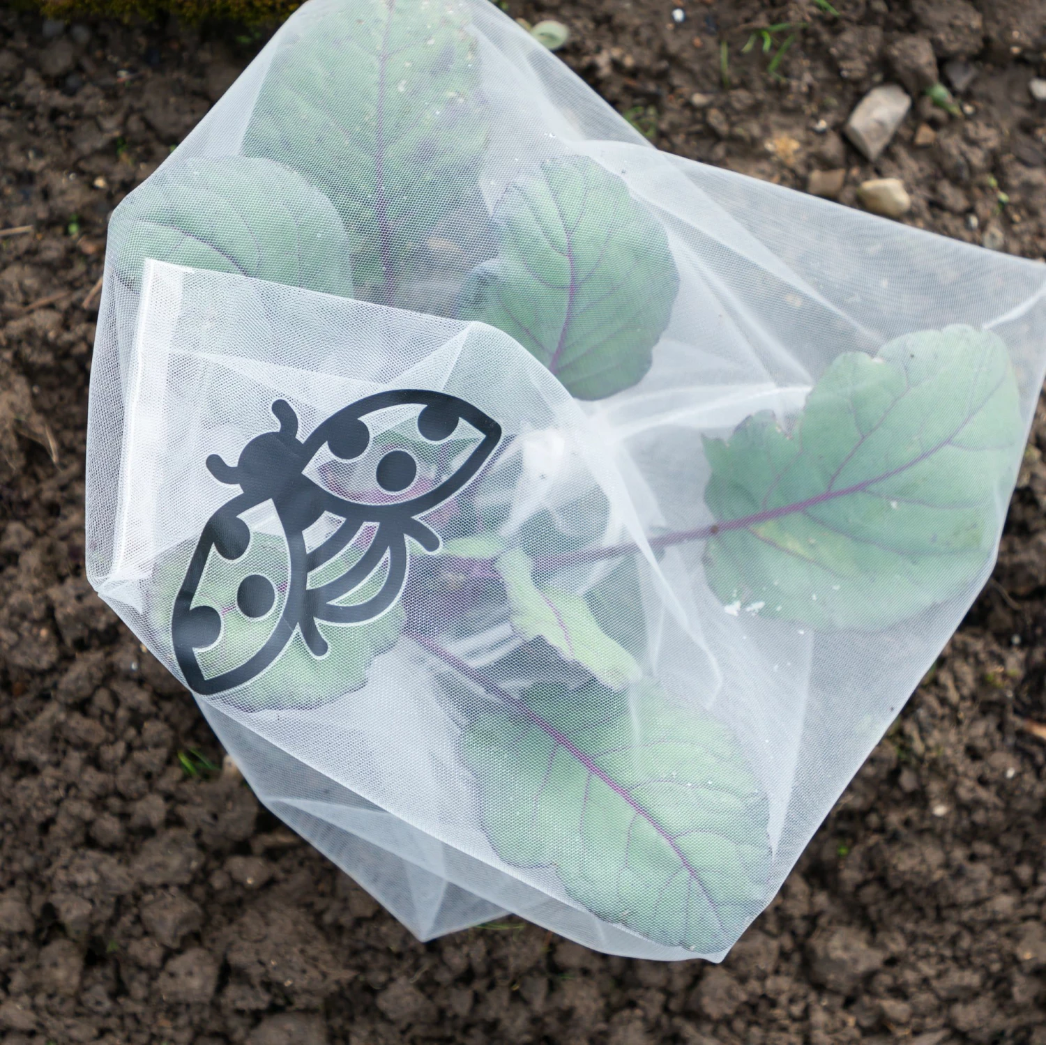 Insektenschutz-Tasche "Gemüse", 6 Stück 4 Insektenschutz-Tasche "Gemüse", 6 Stück – Bild 4