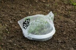 Insektenschutz-Tasche "Staude", 6 Stück -Gartenbedarf Verkaufsladen andermatt biogarten insektenschutz tasche staude 6 stueck 1614107 de