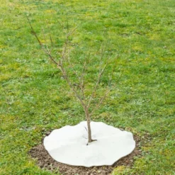 Mulchscheibe, ∅ 25 Cm -Gartenbedarf Verkaufsladen andermatt biogarten mulchscheibe 100 cm 1683258 de