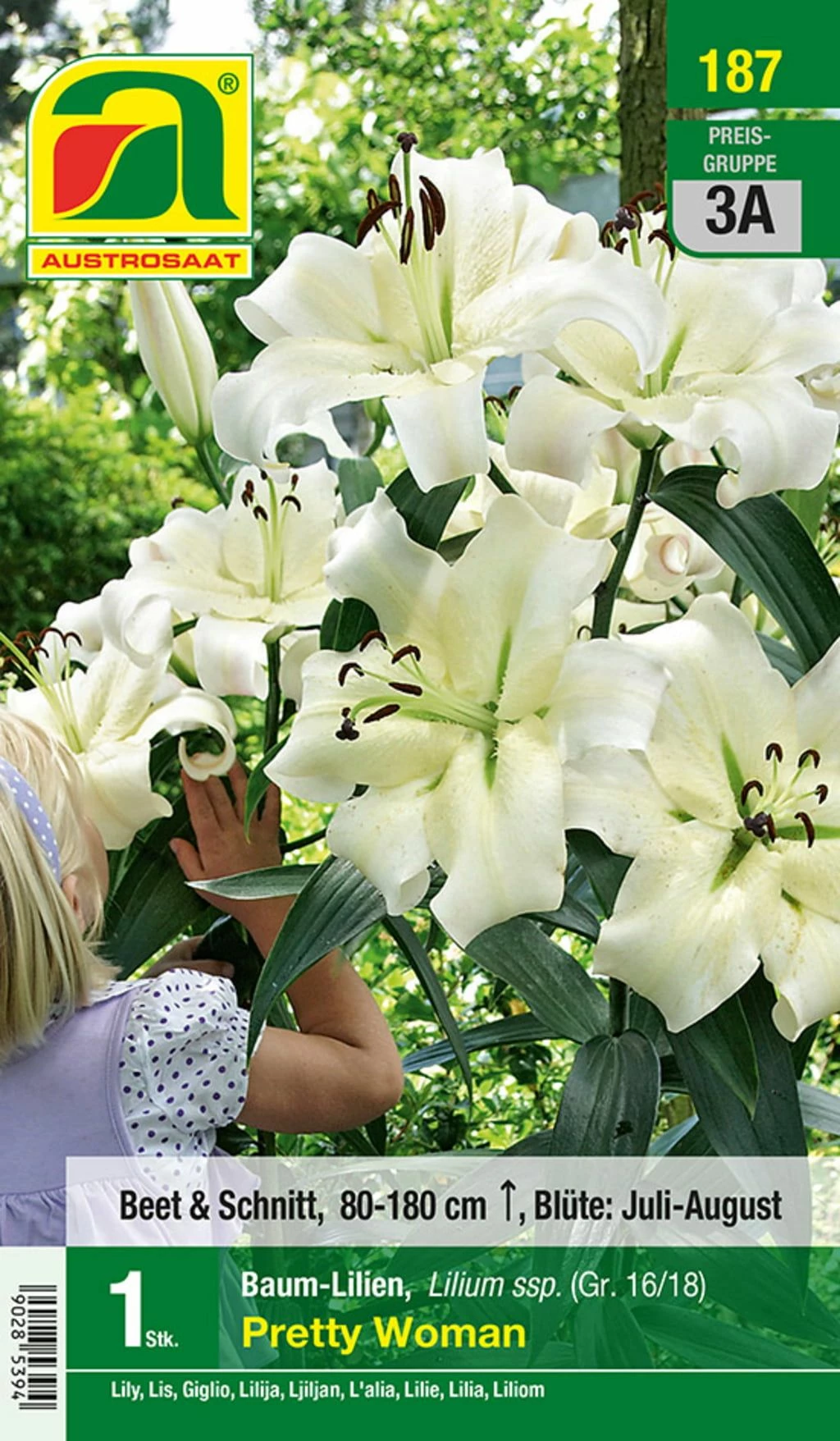 Blumenzwiebel, Baumlilien Pretty Woman 1 Blumenzwiebel, Baumlilien Pretty Woman