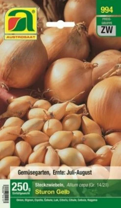 Steckzwiebel "Sturon Gelb", 250 G