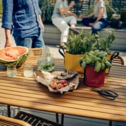 Pflanztasche "Colour" - 10 Liter, Ingwer -Gartenbedarf Verkaufsladen bacsac pflanztasche colour 10 liter 1681161 de