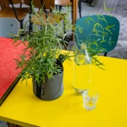 Pflanztasche "Colour" - 10 Liter, Ingwer -Gartenbedarf Verkaufsladen bacsac pflanztasche colour 10 liter 1681162 de