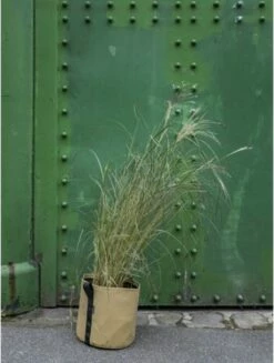 Pflanztasche "Colour" - 10 Liter, Ingwer -Gartenbedarf Verkaufsladen bacsac pflanztasche colour 10 liter ingefaera 1681167 de