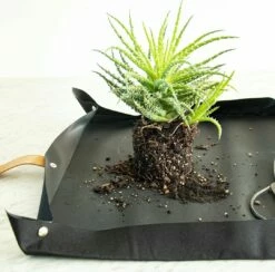 Pflanzmatte Für Urbanes Gärtnern