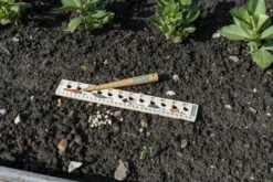 Pflanzlineal & Setzholz Für Kinder -Gartenbedarf Verkaufsladen burgon ball pflanzlineal setzholz fuer kinder 1 set 1643920 de