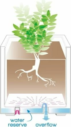 Pflanztopf "Quadro Millenium" Mit Wasserreservoir - Anthrazit, 39 Cm -Gartenbedarf Verkaufsladen deroma pflanztopf quadro millenium mit wasserreservoir anthrazit 1 st 1668645 de