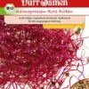 BIO-Keimsprossen Rote Rüben