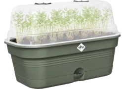 Elho Anzuchtschalen-Set Green Basics Allin1 - M, Laubgrün 14 Elho Anzuchtschalen-Set Green Basics Allin1 - M, Laubgrün -Gartenbedarf Verkaufsladen elho anzuchtschalen set green basics allin1 m verde foglia 1404405 de