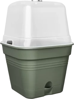 Elho Anzuchttopf Set Green Basics 30cm - Quadrat, Laubgrün