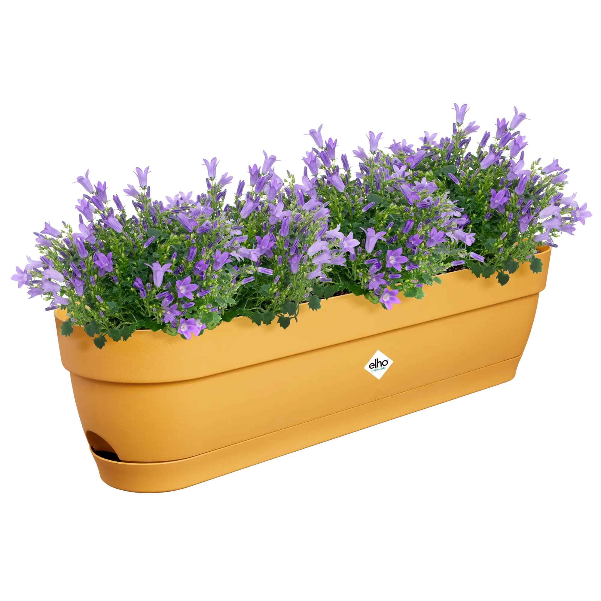 Elho Balkonkasten Vibia Campana, 70 Cm, Honig Gelb 7 Elho Balkonkasten Vibia Campana, 70 Cm, Honig Gelb – Bild 7