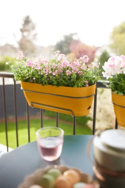 Elho Balkonkasten Vibia Campana, 70 Cm, Honig Gelb 18 Elho Balkonkasten Vibia Campana, 70 Cm, Honig Gelb -Gartenbedarf Verkaufsladen elho balkonkasten vibia campana 70cm honig gelb 1449967 de