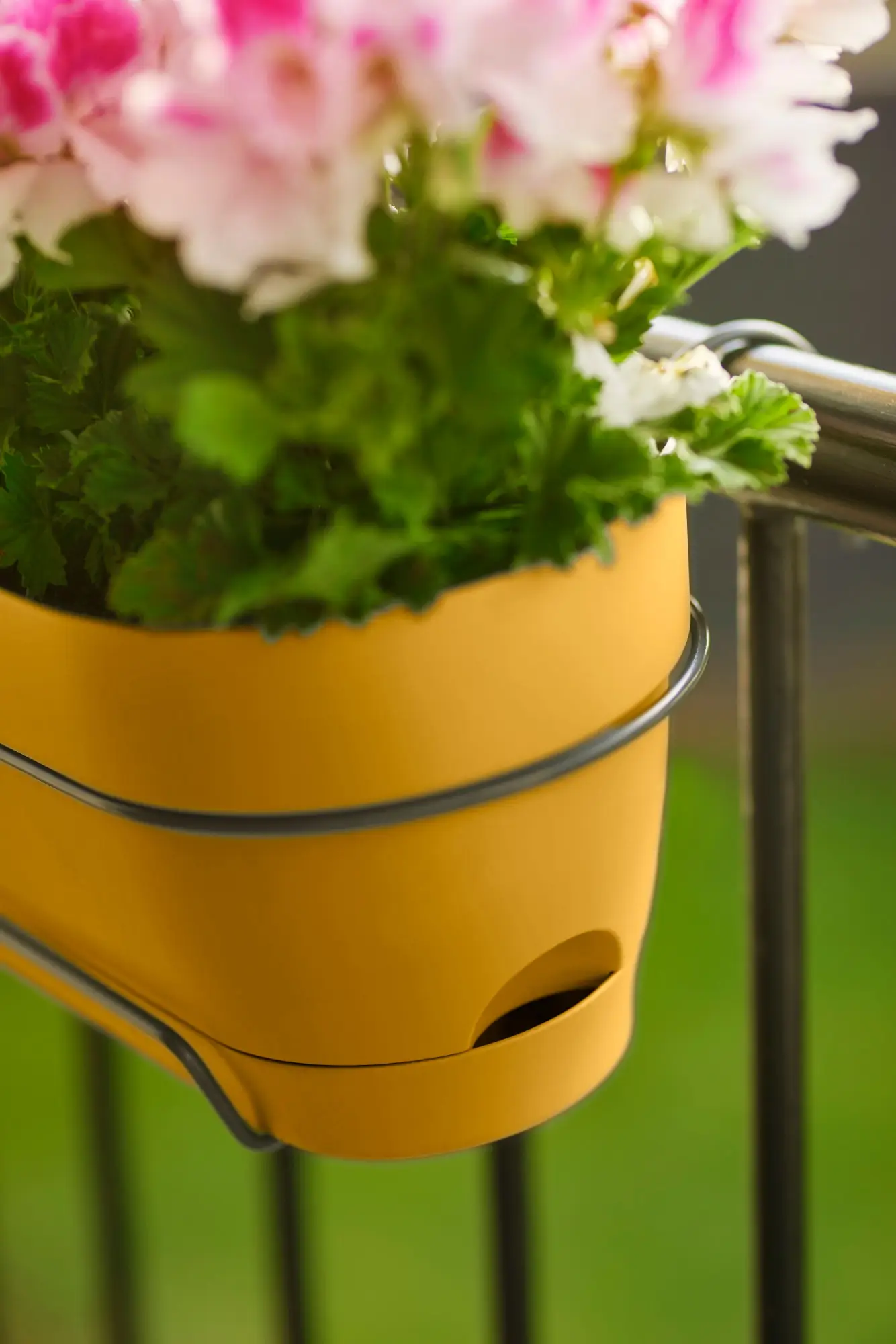 Elho Balkonkasten Vibia Campana, 70 Cm, Honig Gelb 2 Elho Balkonkasten Vibia Campana, 70 Cm, Honig Gelb – Bild 2