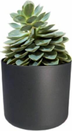 Elho B.for Soft Rund Anthrazit, Ø 22 Cm -Gartenbedarf Verkaufsladen elho bfor soft rund anthrazit 1671532 de