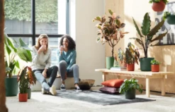 Elho B.for Soft Rund Laubgrün, Ø 18 Cm -Gartenbedarf Verkaufsladen elho bfor soft rund laubgruen 1671528 de