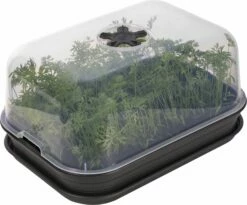 Elho Green Basics Anzuchthaus-Set M