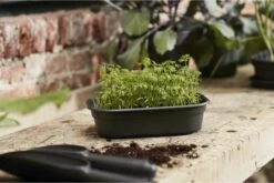 Elho Green Basics Anzuchtschale S, Lebhaft Schwarz -Gartenbedarf Verkaufsladen elho green basics anzuchtschale s 1666616 de