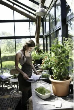 Elho Green Basics Anzuchtschale S, Lebhaft Schwarz -Gartenbedarf Verkaufsladen elho green basics anzuchtschale s 1666618 de