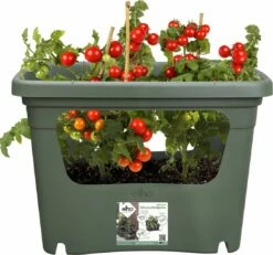 Elho Green Basics Stack & Grow Large, Laubgrün