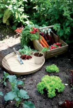 Elho Green Basics Untersetzer "baumwolle", 34 Cm -Gartenbedarf Verkaufsladen elho green basics untersetzer baumwolle 1675239 de