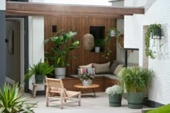 Elho Greenville Topf Rund 30 Cm, Laubgrün -Gartenbedarf Verkaufsladen elho greenville topf rund 30 cm beton 1082077 de