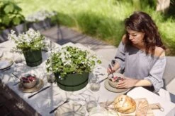 Elho Greenville Topf Rund 30 Cm, Laubgrün