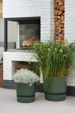 Elho Greenville Topf Rund 30 Cm, Laubgrün -Gartenbedarf Verkaufsladen elho greenville topf rund 30 cm vaextgroen 1589652 de