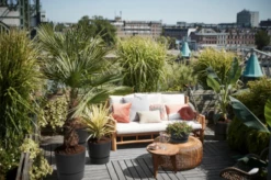 Elho Greenville Topf Rund 47 Cm, Lebhaft Schwarz -Gartenbedarf Verkaufsladen elho greenville topf rund 47 cm levande svart 1668970 de