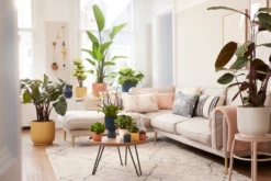 Elho Vibes Fold Rund 14 Cm, Seidenweiß 19 Elho Vibes Fold Rund 14 Cm, Seidenweiß -Gartenbedarf Verkaufsladen elho vibes fold rund 14 cm sorbetgroen 1672239 de