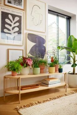 Elho Vibes Fold Rund 16 Cm, Sorbet Grün 23 Elho Vibes Fold Rund 16 Cm, Sorbet Grün -Gartenbedarf Verkaufsladen elho vibes fold rund 16 cm 1495303 de