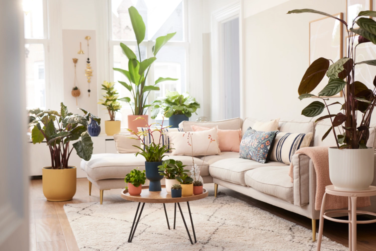 Elho Vibes Fold Rund 16 Cm, Sorbet Grün 14 Elho Vibes Fold Rund 16 Cm, Sorbet Grün – Bild 14