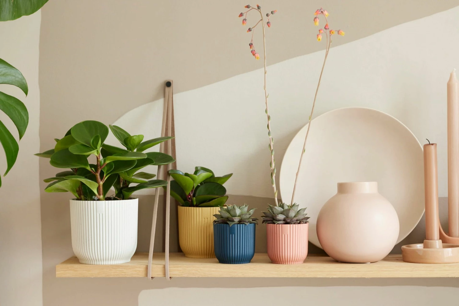 Elho Vibes Fold Rund Mini 11 Cm, Seidenweiß 1 Elho Vibes Fold Rund Mini 11 Cm, Seidenweiß