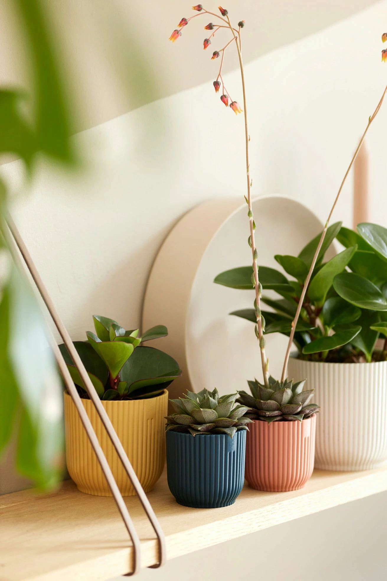 Elho Vibes Fold Rund Mini 11 Cm, Seidenweiß 7 Elho Vibes Fold Rund Mini 11 Cm, Seidenweiß – Bild 7