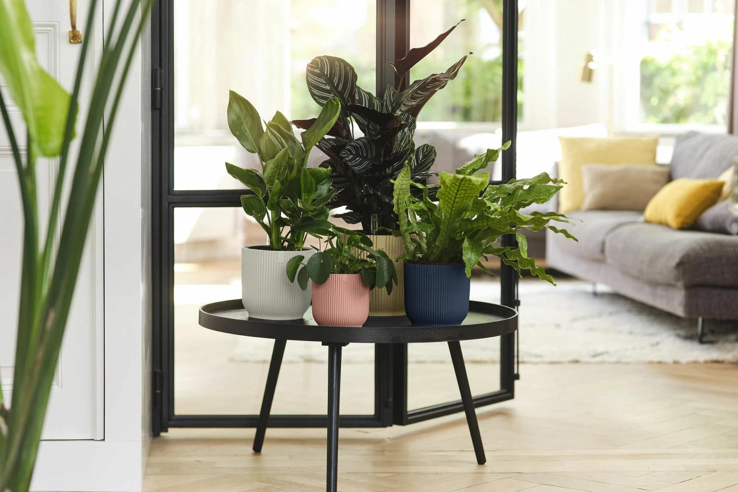 Elho Vibes Fold Rund 16 Cm, Sorbet Grün 11 Elho Vibes Fold Rund 16 Cm, Sorbet Grün – Bild 11