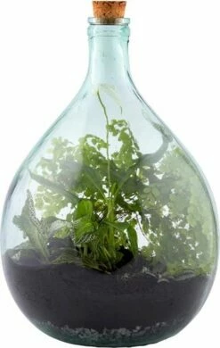 ESSCHERT DESIGN Plant Terrarium Erde