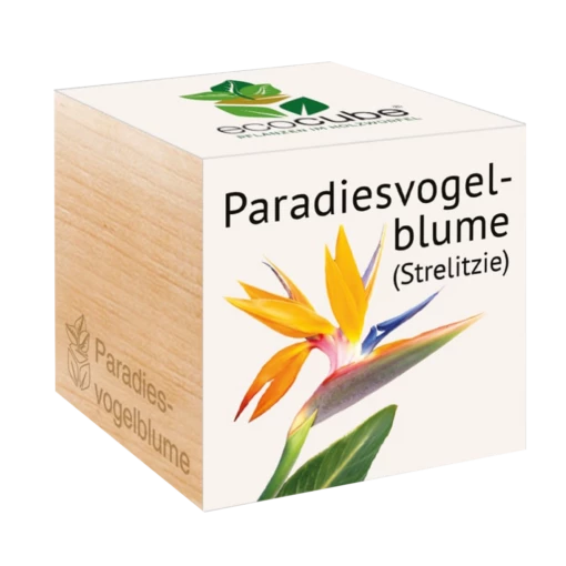 Ecocube "Paradiesvogelblume" -Gartenbedarf Verkaufsladen feel green ecocube paradiesvogelblume 1 k 1259183 de
