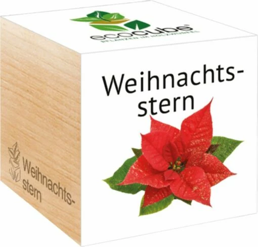 Ecocube "Weihnachtsstern" -Gartenbedarf Verkaufsladen feel green ecocube weihnachtsstern 1 k 1033177 de