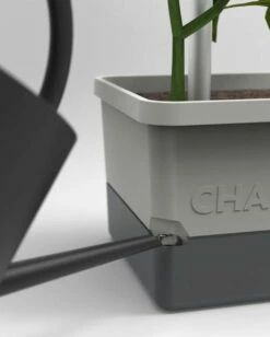 Charly Chili - Pflanztopf, Hellgrau