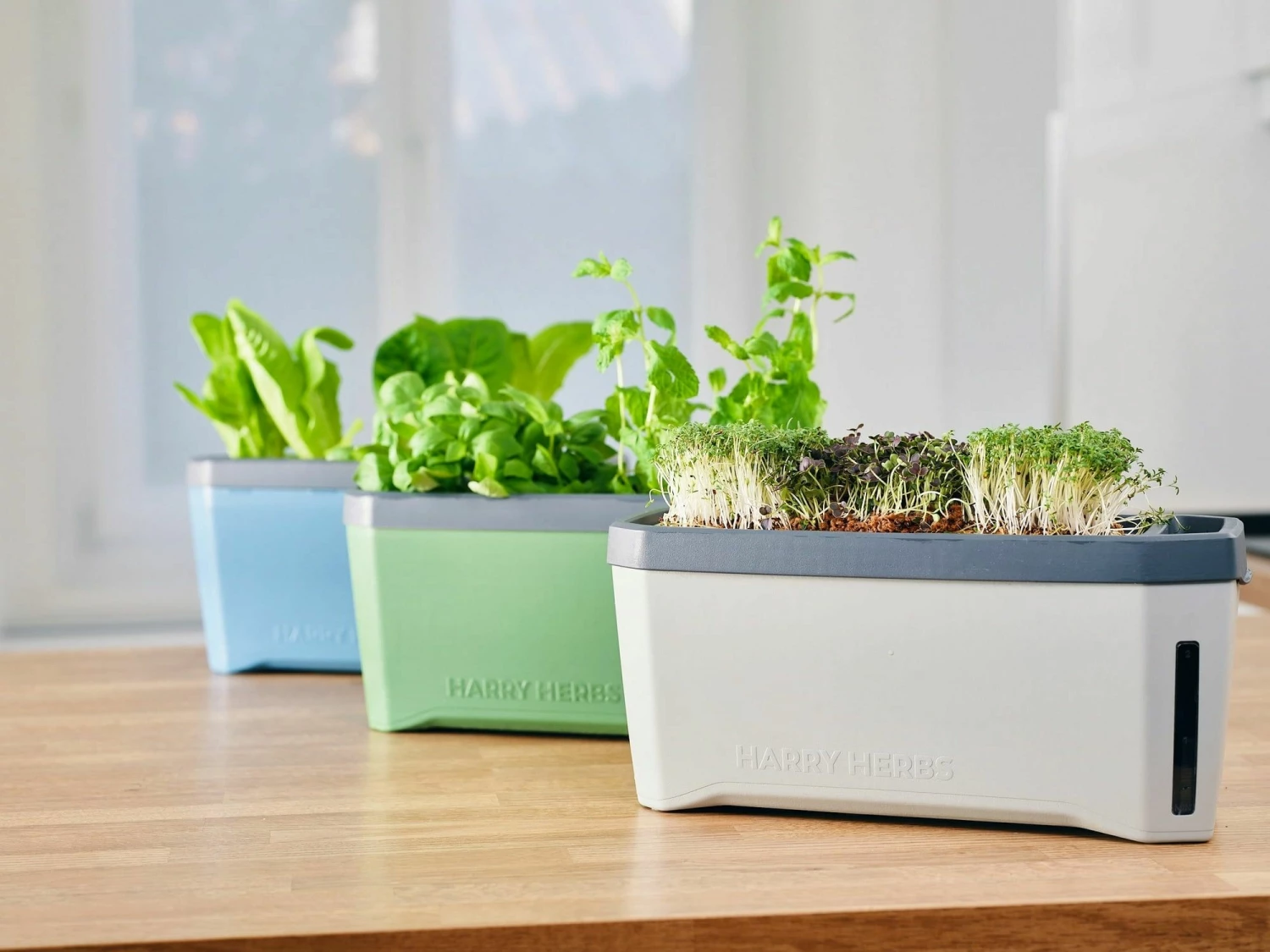 Harry Herbs Kräutertopf - Mit Haube, Weiß 7 Harry Herbs Kräutertopf - Mit Haube, Weiß – Bild 7