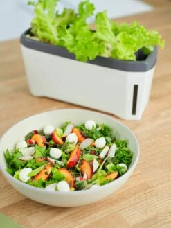 Harry Herbs Kräutertopf - Mit Haube, Weiß 8 Harry Herbs Kräutertopf - Mit Haube, Weiß -Gartenbedarf Verkaufsladen gusta garden harry herbs kraeutertopf mit haube weiss 1410068 de