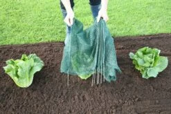 Easy Net Tunnel, Standard