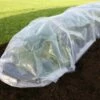 Easy Poly Tunnel, Standard