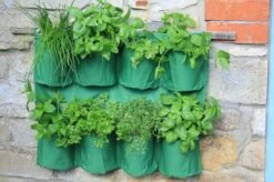 Hängender Kräutergarten -Gartenbedarf Verkaufsladen haxnicks haengender kraeutergarten 1 st 1656013 de