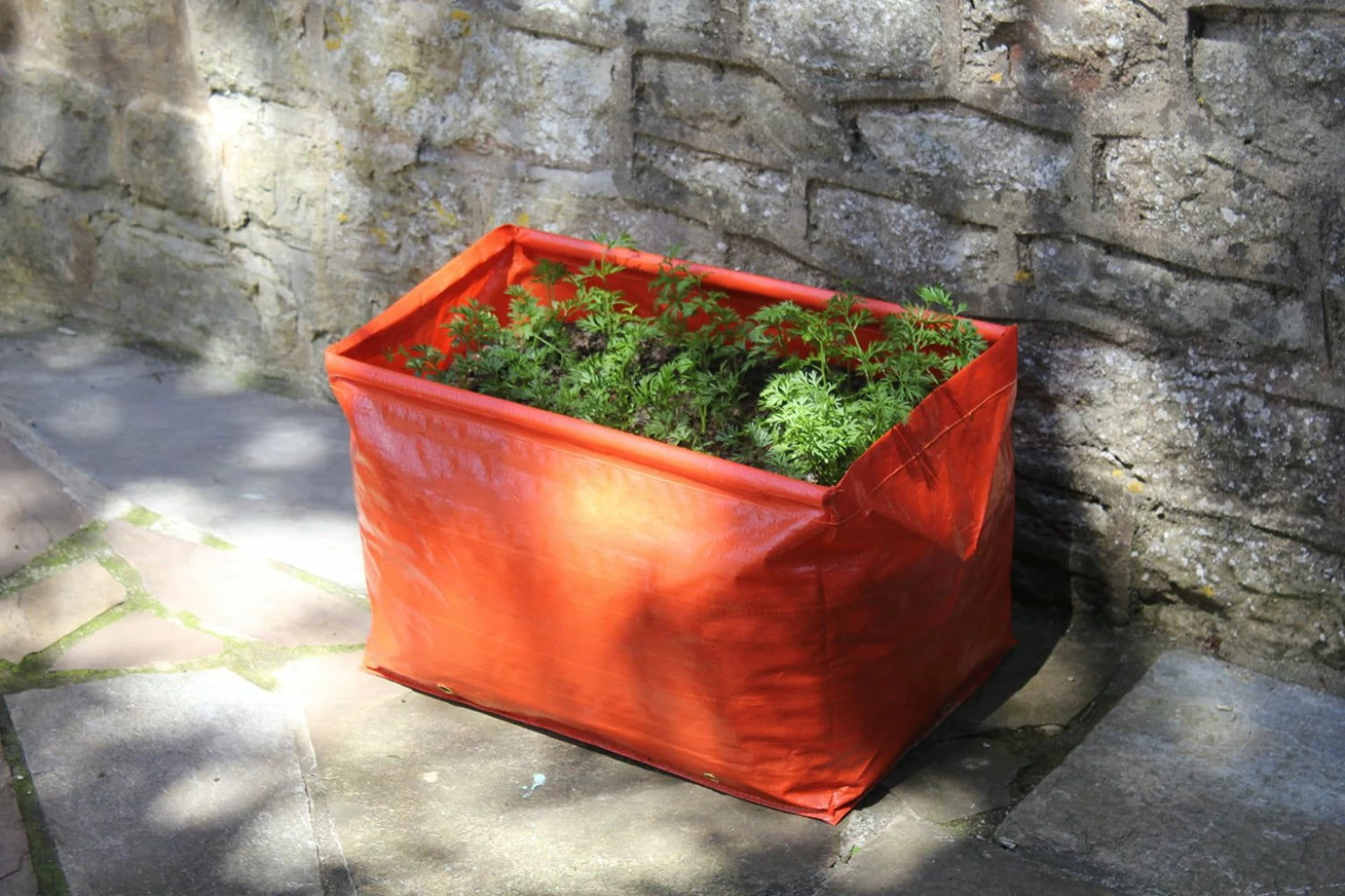 Karottenpflanztasche Im 2er Set, 2 Stück 3 Karottenpflanztasche Im 2er Set, 2 Stück – Bild 3