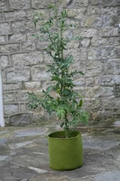 Vigoroot Pflanztaschen Im 3er Set, 5 L (3 Stück)