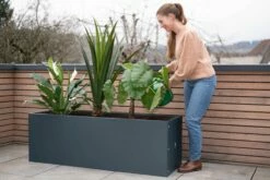 Pflanzkasten 50 X 150 X 50, Anthrazit -Gartenbedarf Verkaufsladen herstera pflanzkasten 50 x 150 x 50 anthrazit 1294042 de