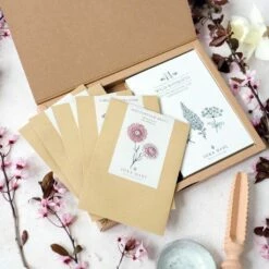 Trockenblumen Set "Flowers To Dry - The Great Collection" -Gartenbedarf Verkaufsladen jora dahl trockenblumen set flowers to dry the great collection 1 set 842728 de