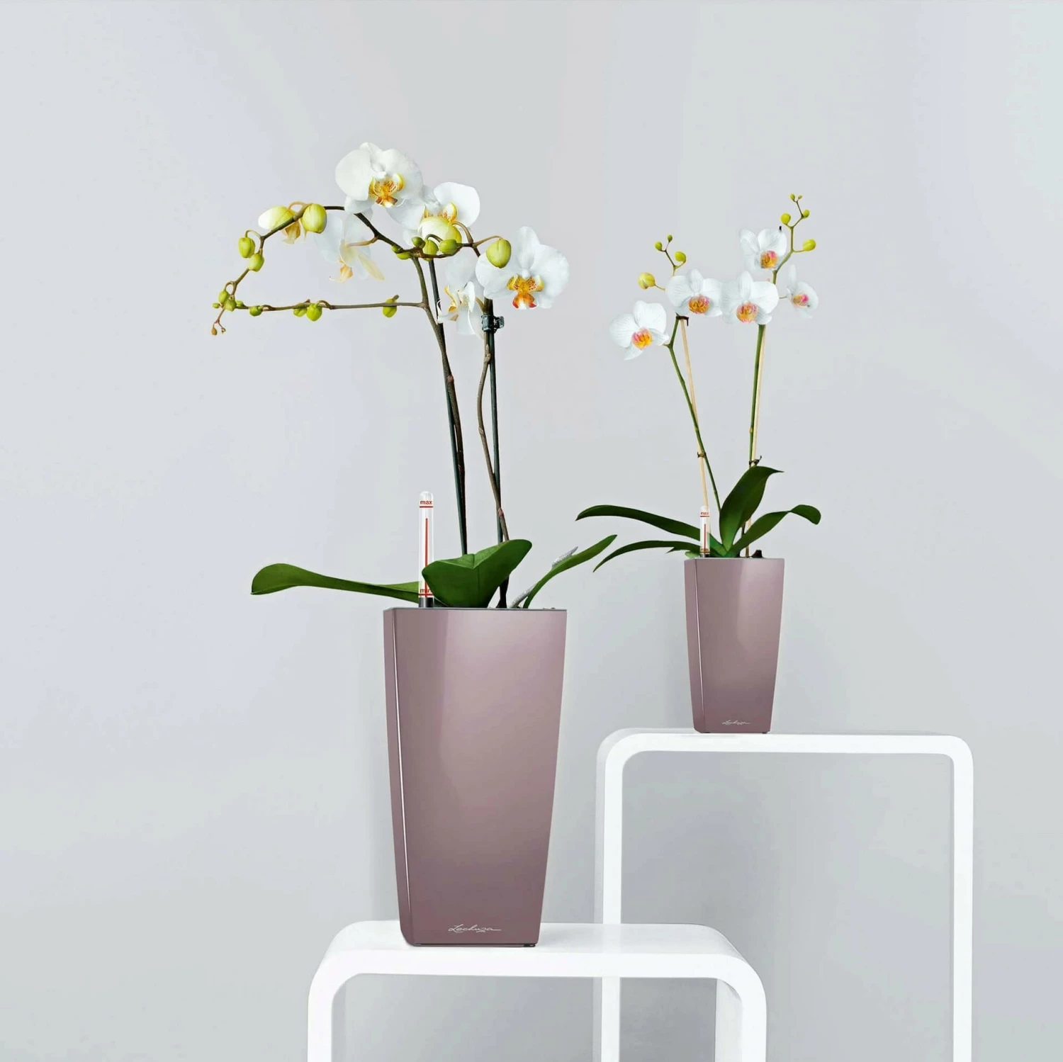 LECHUZA Tischgefäß MAXI CUBI, Weiß Hochglanz 4 LECHUZA Tischgefäß MAXI CUBI, Weiß Hochglanz – Bild 4