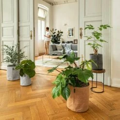 LECHUZA Pflanzgefäß TRENDCOVER "Kork" 23, Light Natural -Gartenbedarf Verkaufsladen lechuza pflanzgefaess trendcover kork 23 1677551 de